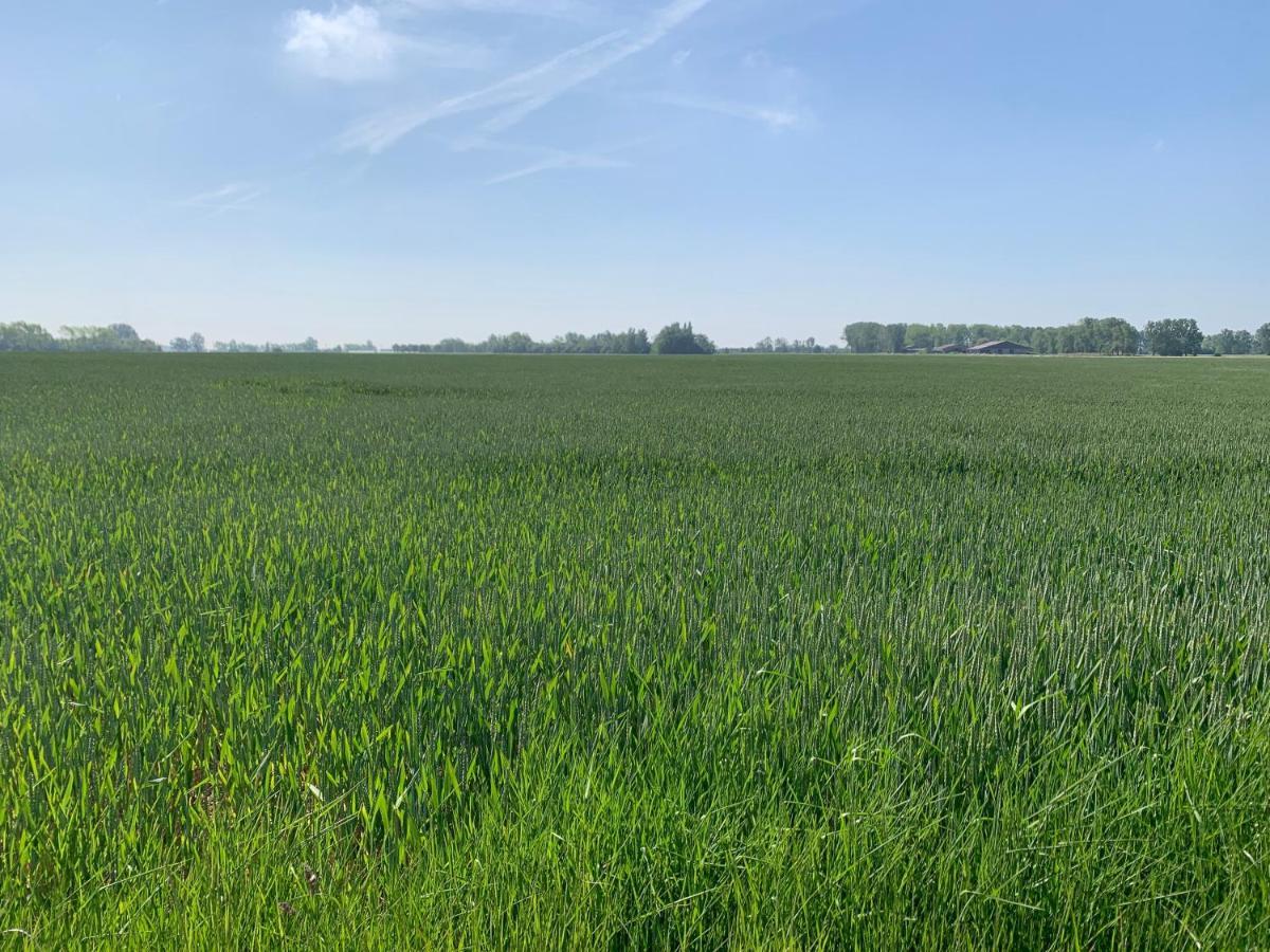 De Scheure, Charmant Vakantiehuisje Midden In De Natuur Alveringem Екстер'єр фото