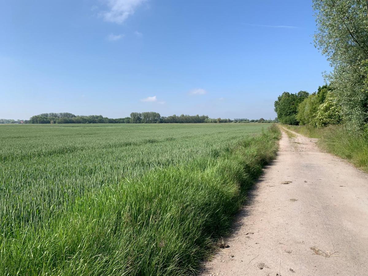 De Scheure, Charmant Vakantiehuisje Midden In De Natuur Alveringem Екстер'єр фото